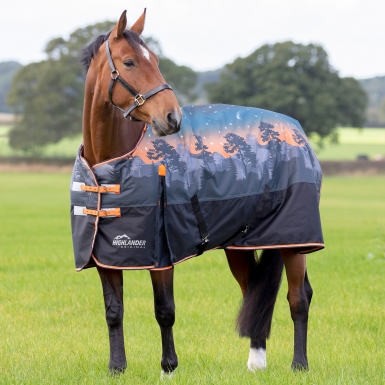 Shires Highlander Original 200g Turnout Rug (RRP Â£83.99)